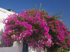 Résidence LE BOUGAINVILLIER